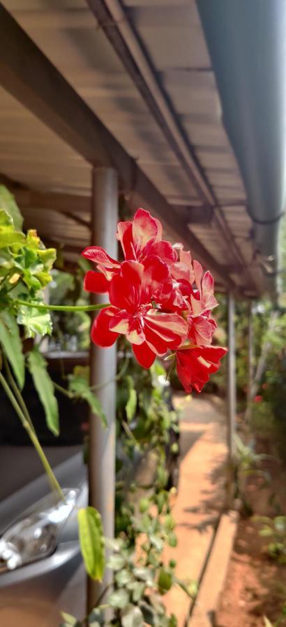 Westernghats Homestay Madikeri Exteriör bild