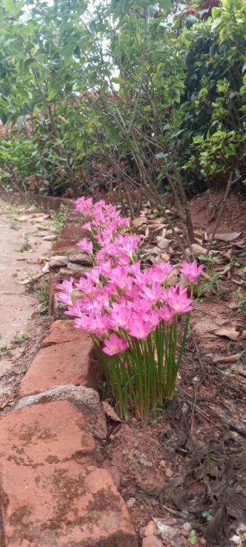 Westernghats Homestay Madikeri Exteriör bild